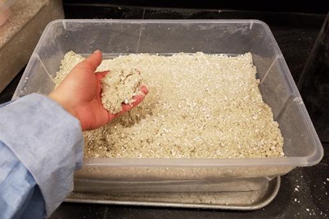 Image of sand to perlite mixture