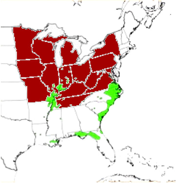 Map of native range of pumpkin ash