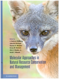 Molecular Approaches book cover