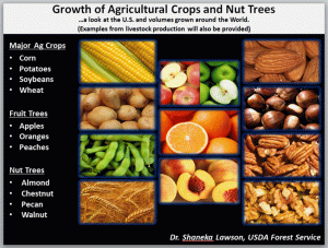 Image of Growth of Agricultural Crops and Nut Trees