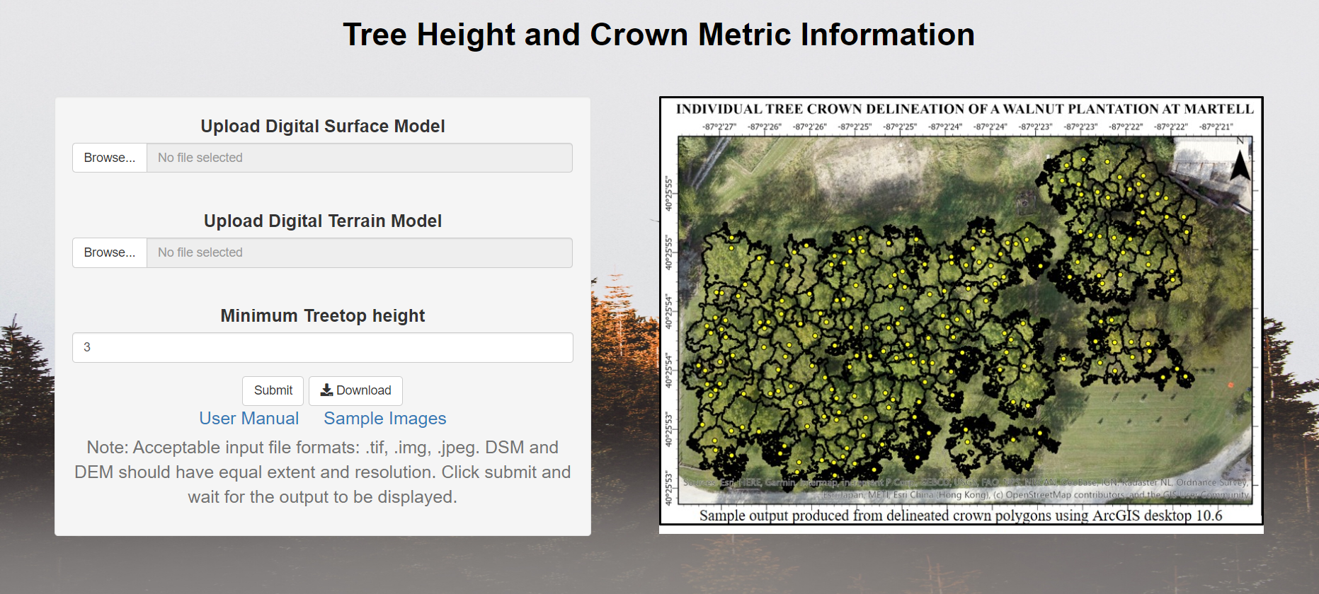 Image of Tree Height and Crown Metric Information