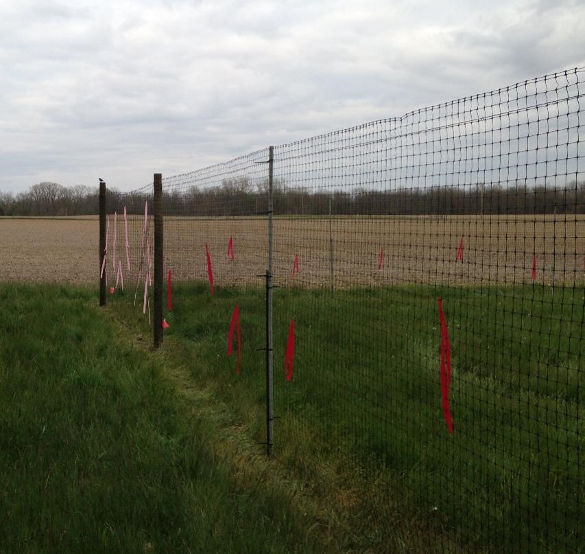 Plastic mesh deer fence