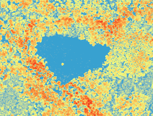 Canopy height model, trees showing colors of red and blue.