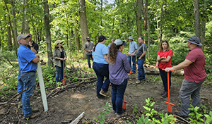 Attendees of the ICP training discuss enrichment planting of oaks in the understory of a forest.