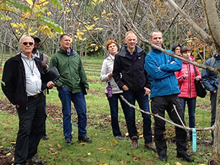 Congress participants tour the walnut collection planting of several walnut and butternut species and hybrids.