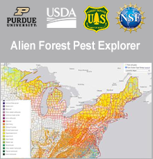 Alien Forest Pest Explorer: Forest Health Applications.