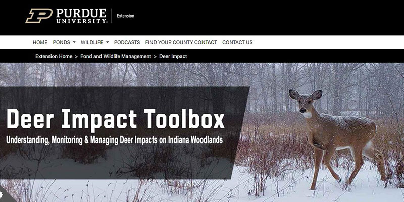 Cover image from the Deer Impact Toolbox website 