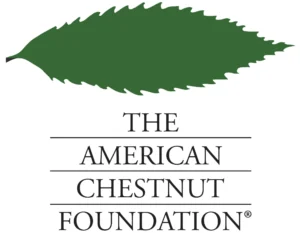 The American Chestnut Foundation