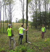 students-measuring-tree-trunk-forest-164x169 Eforester: AI-Assisted Smartphone App for Automated Tree Inventory<br />