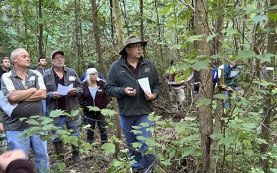 Indiana Woodland Owners to Tour Purdue’s Nelson-Stokes-Lewman Property