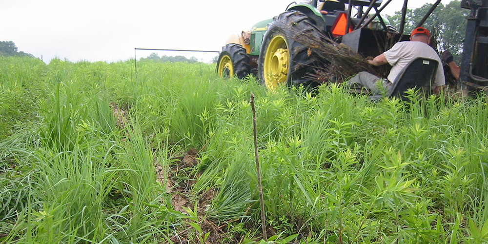 A man on a tractor plants tree seedlings on the Nicolson property.
