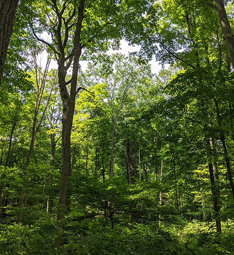 HTIRC 2025 Annual Report is Now Available